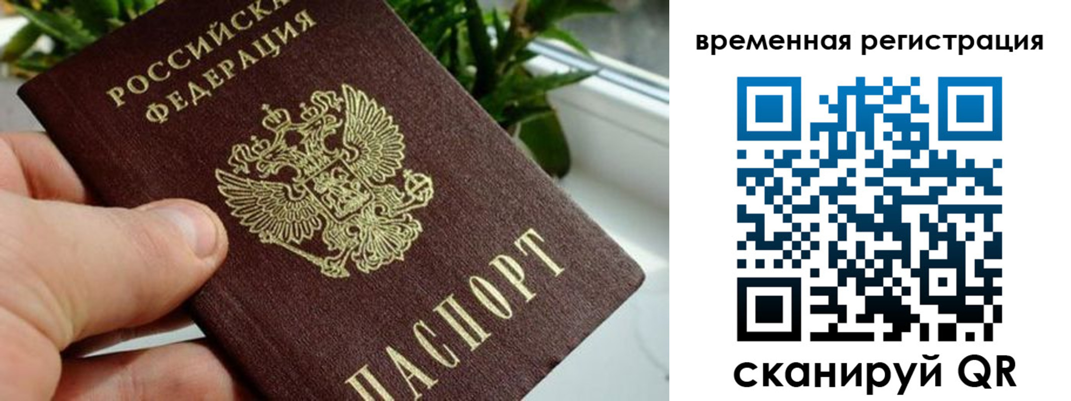 прописка поиск в Новочеркасске
